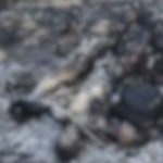 تصميم بدون عنوان