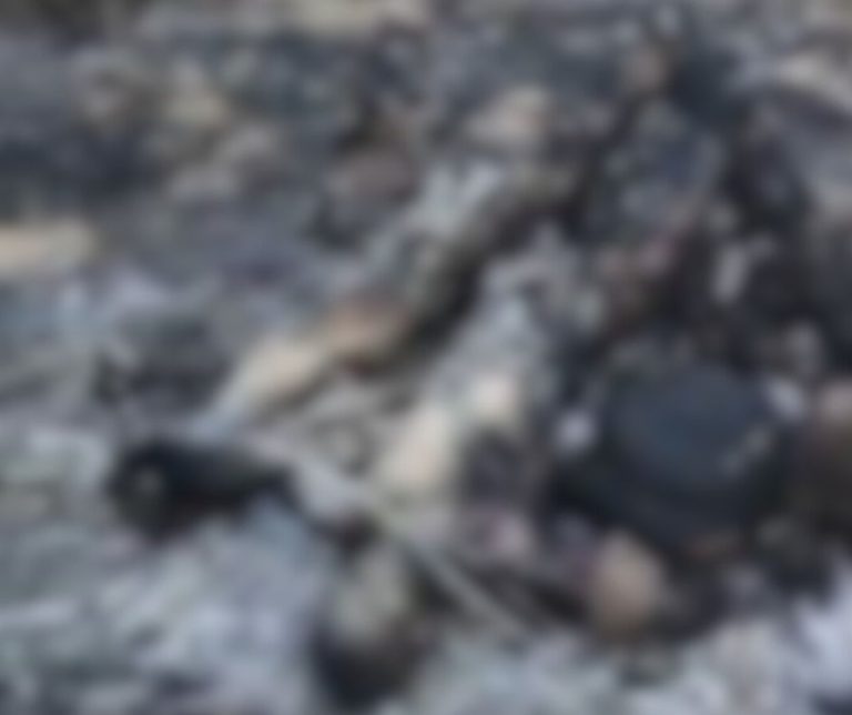 تصميم بدون عنوان