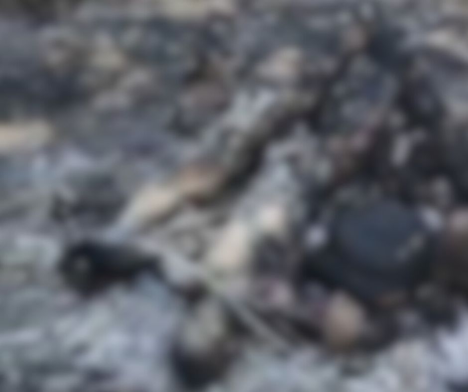 تصميم بدون عنوان