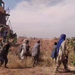 Screenshot_20251108_140401_WhatsAppBusiness