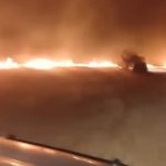 Screenshot_20260129_022134_Video Player