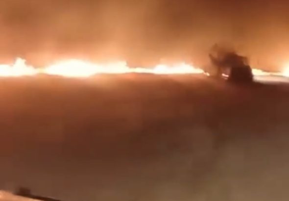 Screenshot_20260129_022134_Video Player