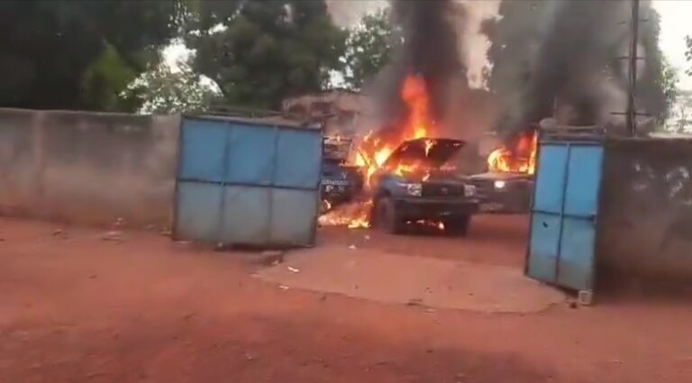 Screenshot_20260216_184236_X